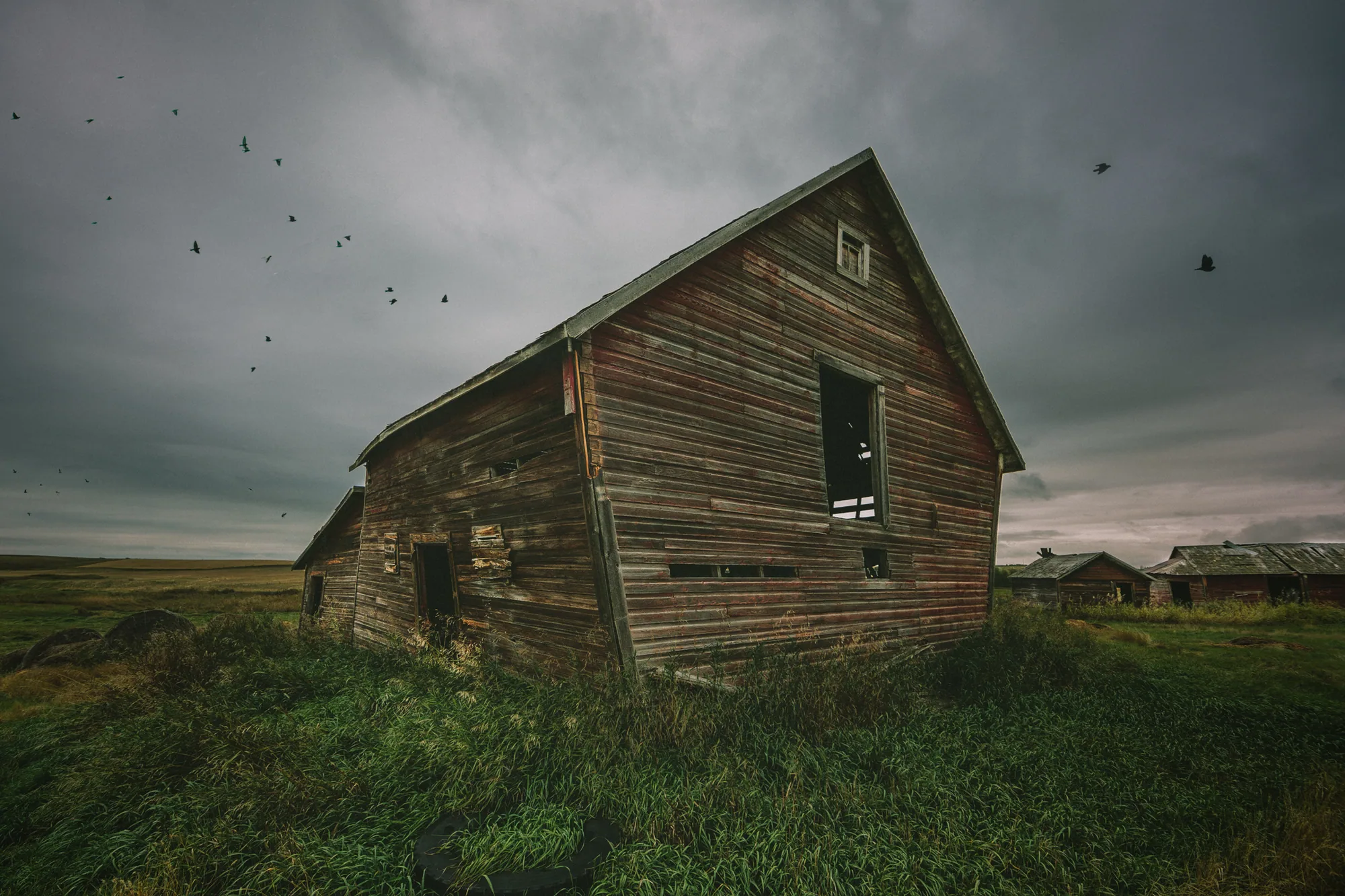 personal work photography image 1 by Rick Dang