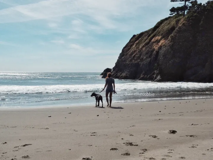 Person walking a dog along a wide beach beneath a rocky headland