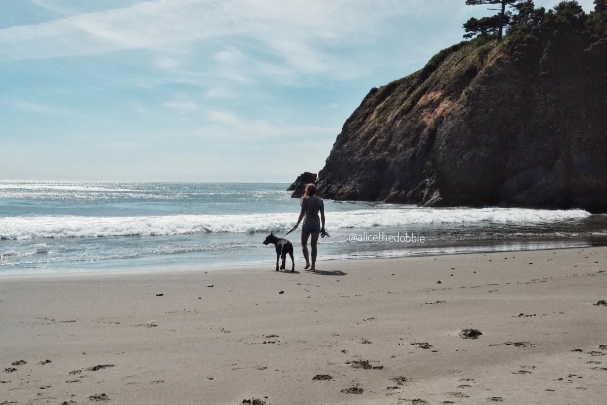 Person walking a dog along a wide beach beneath a rocky headland