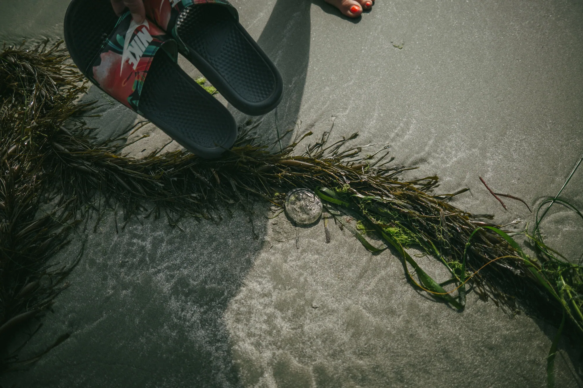 personal work photography image 7 by Rick Dang