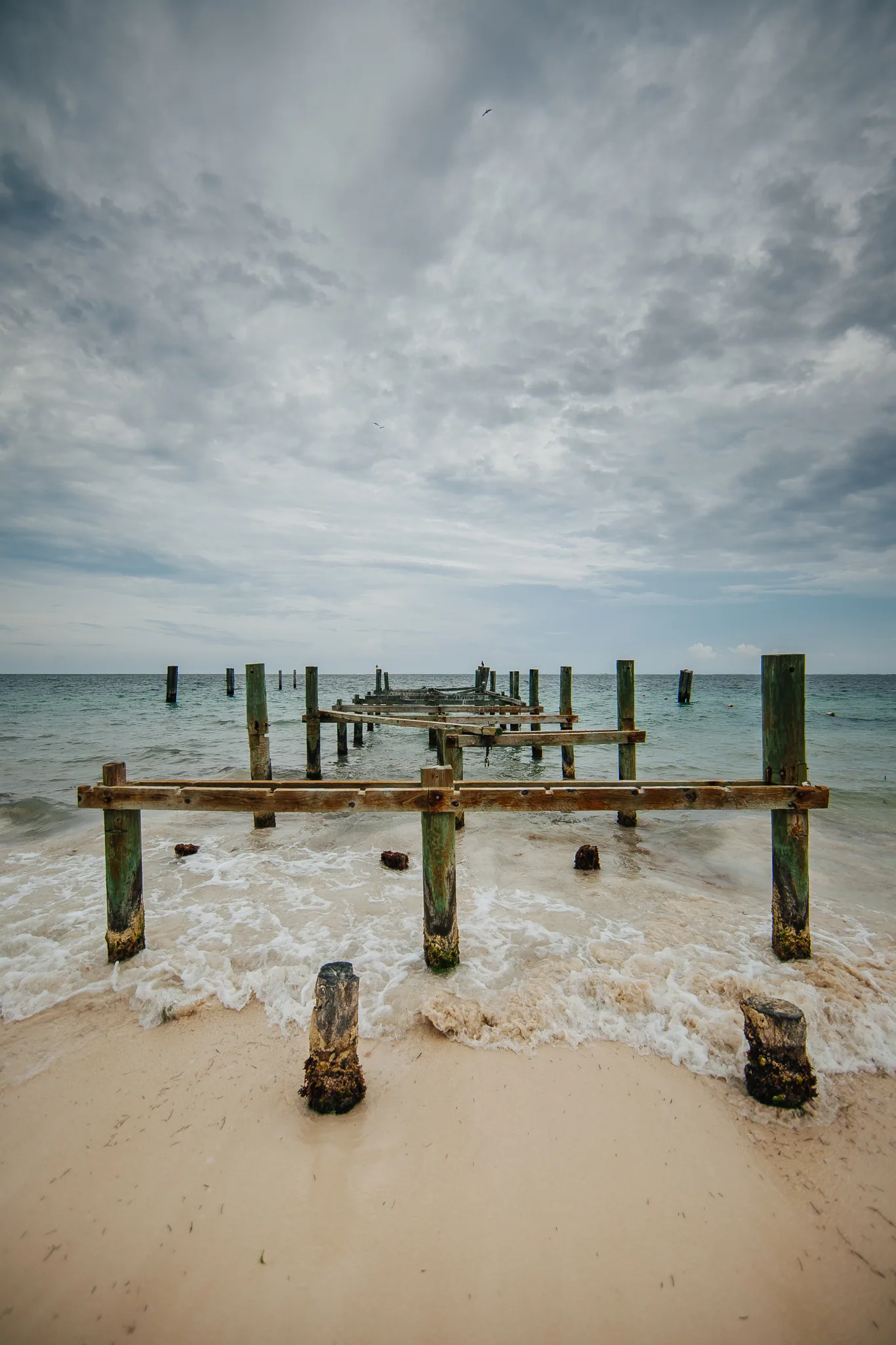 personal work photography image 8 by Rick Dang