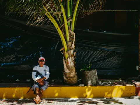Person seated in shade beneath palm trees beside a sunlit street