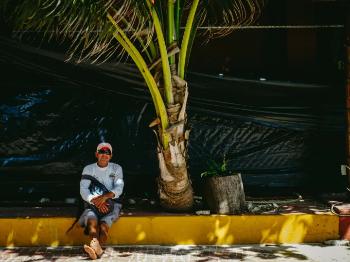 Person seated in shade beneath palm trees beside a sunlit street
