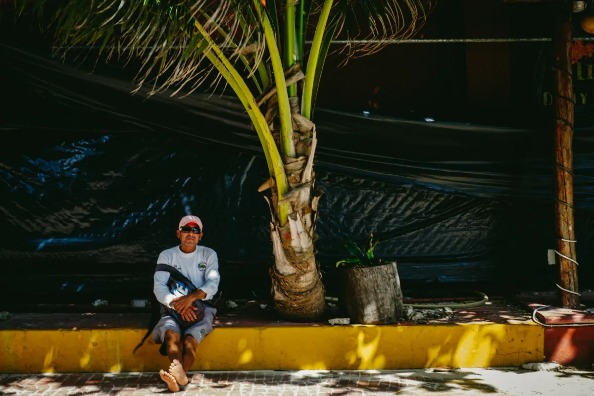 Person seated in shade beneath palm trees beside a sunlit street