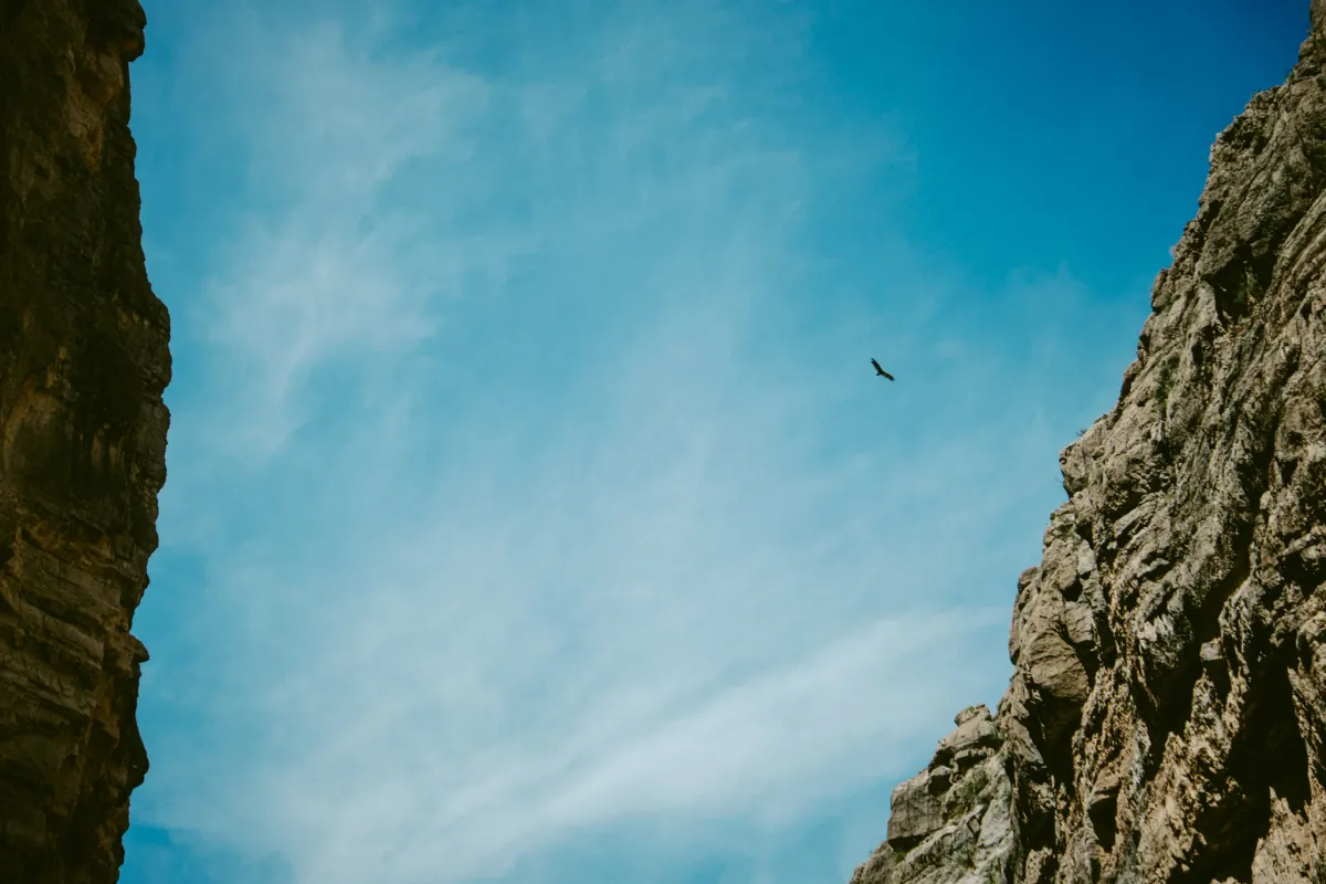 Bird flying through blue sky between two steep rock cliffs