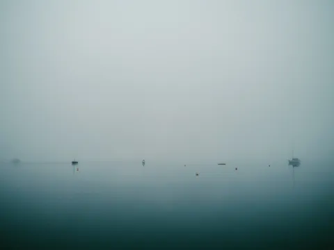 Birds moving across pale water in a minimal landscape