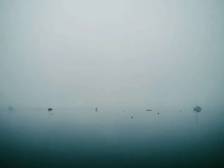 Birds moving across pale water in a minimal landscape