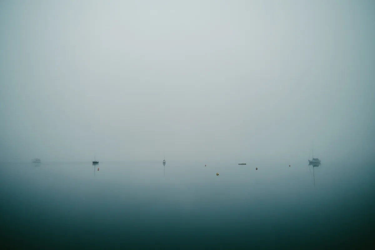 Birds moving across pale water in a minimal landscape