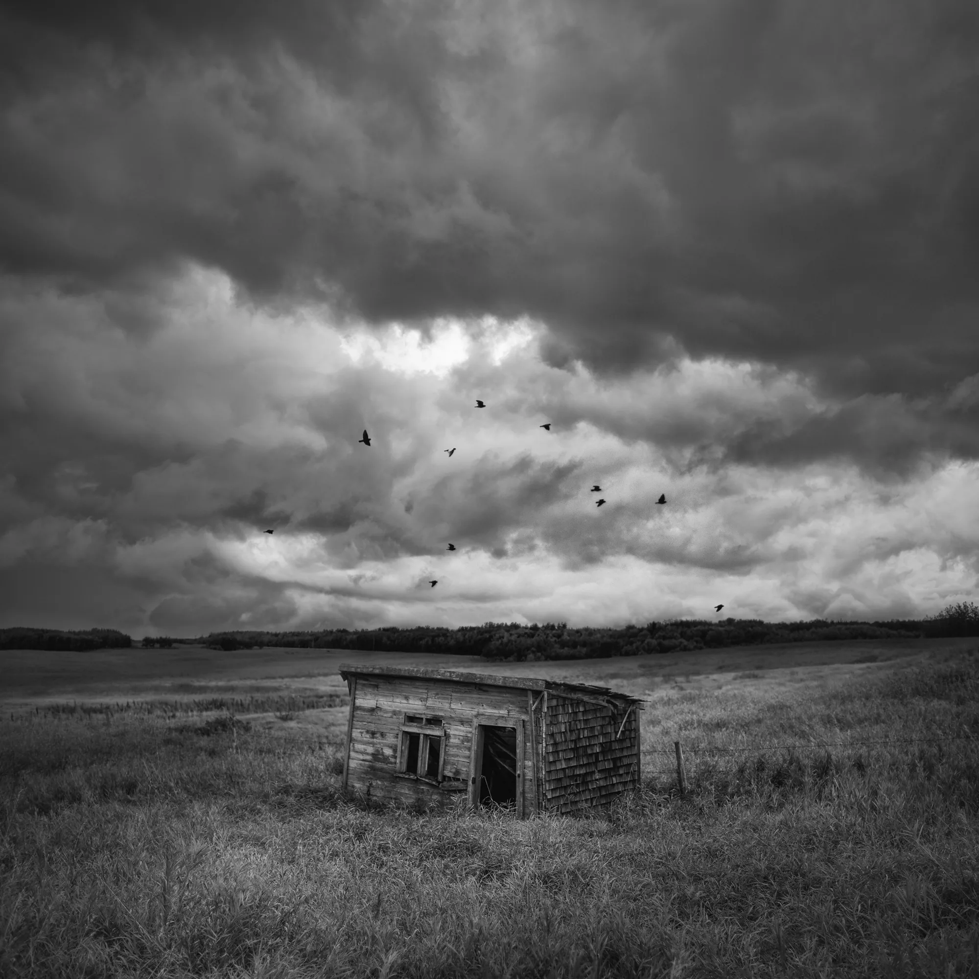 personal work photography image 14 by Rick Dang