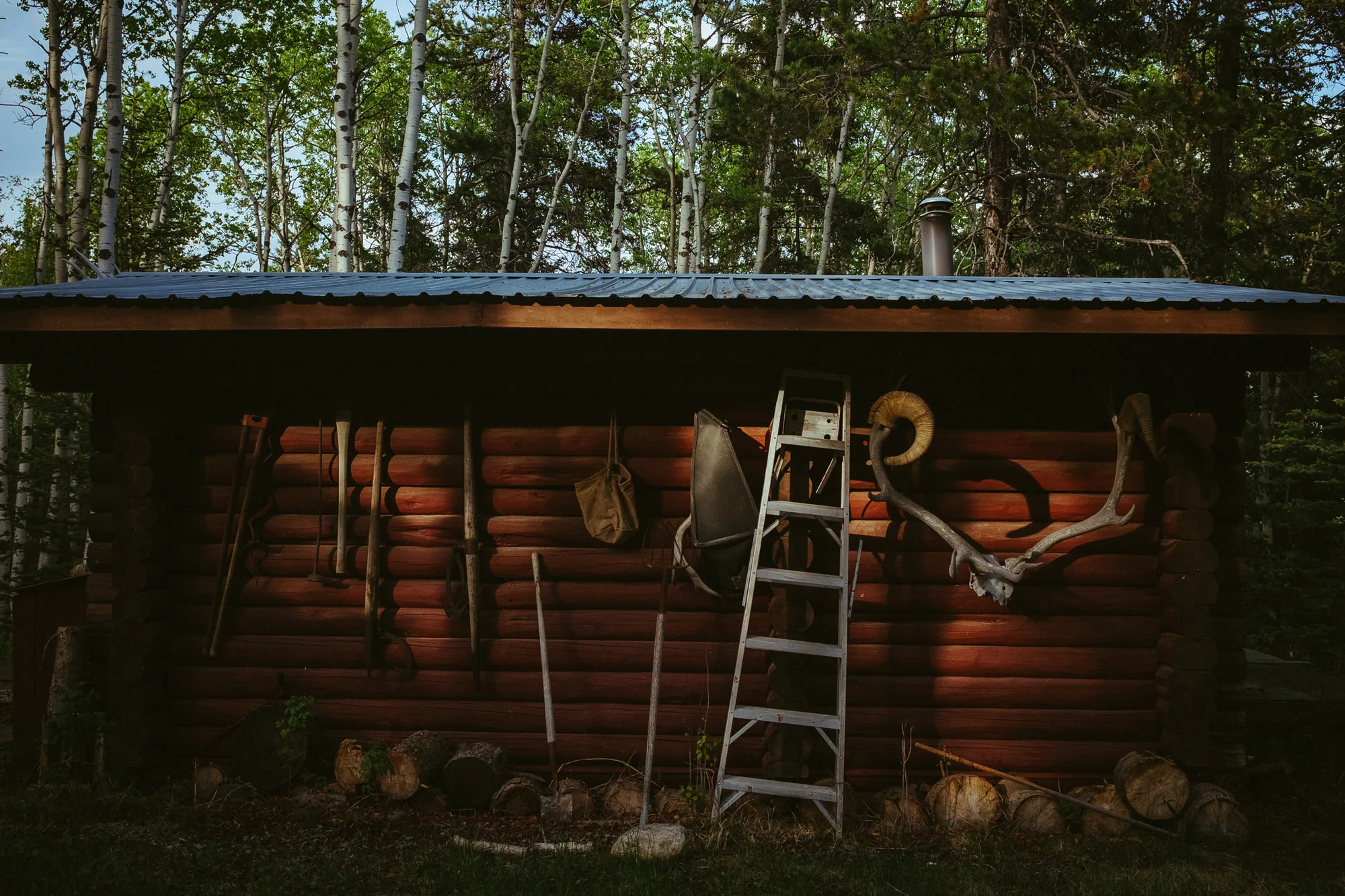personal work photography image 19 by Rick Dang