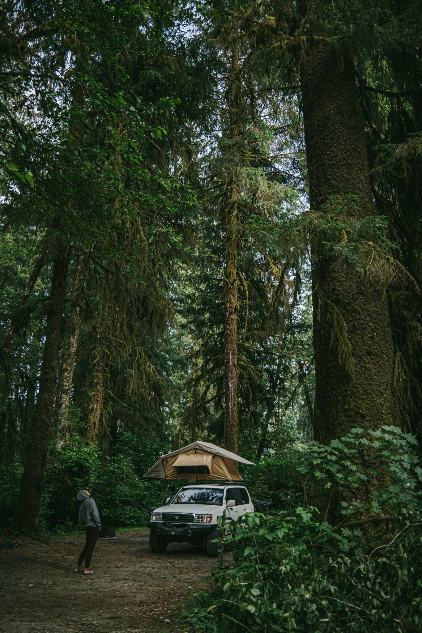 personal work photography image 21 by Rick Dang