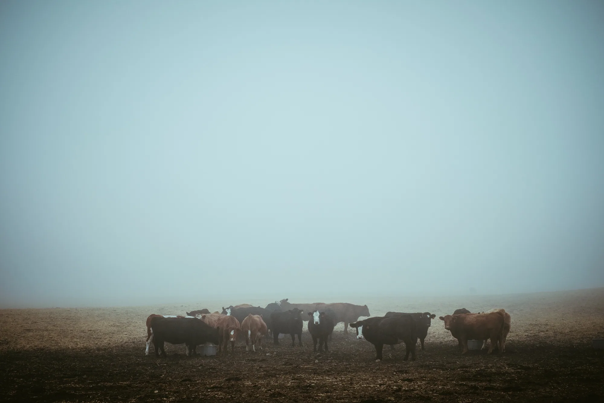 personal work photography image 23 by Rick Dang