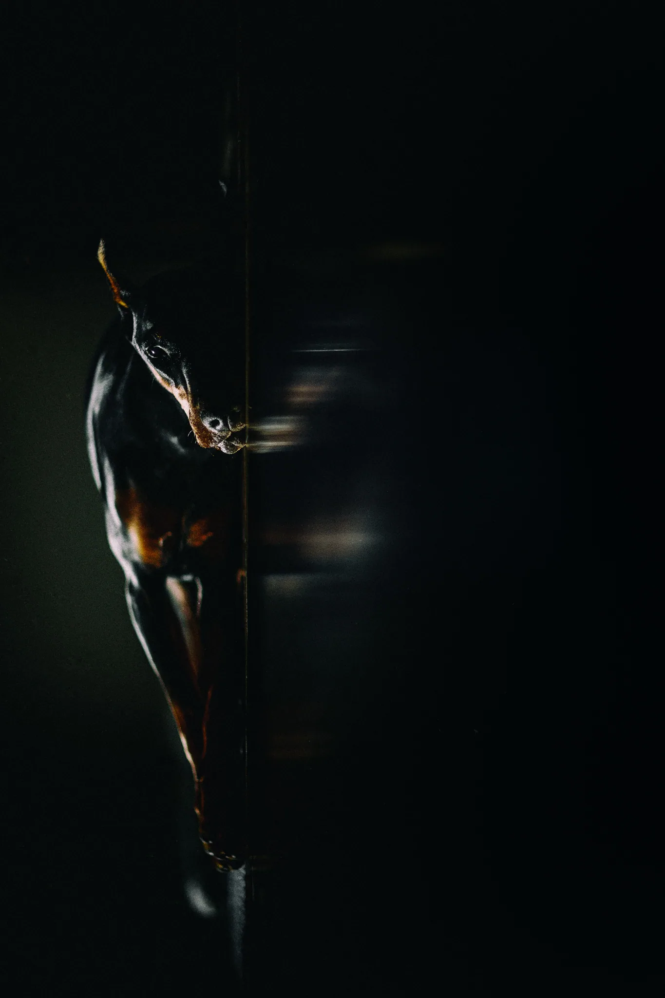 personal work photography image 33 by Rick Dang