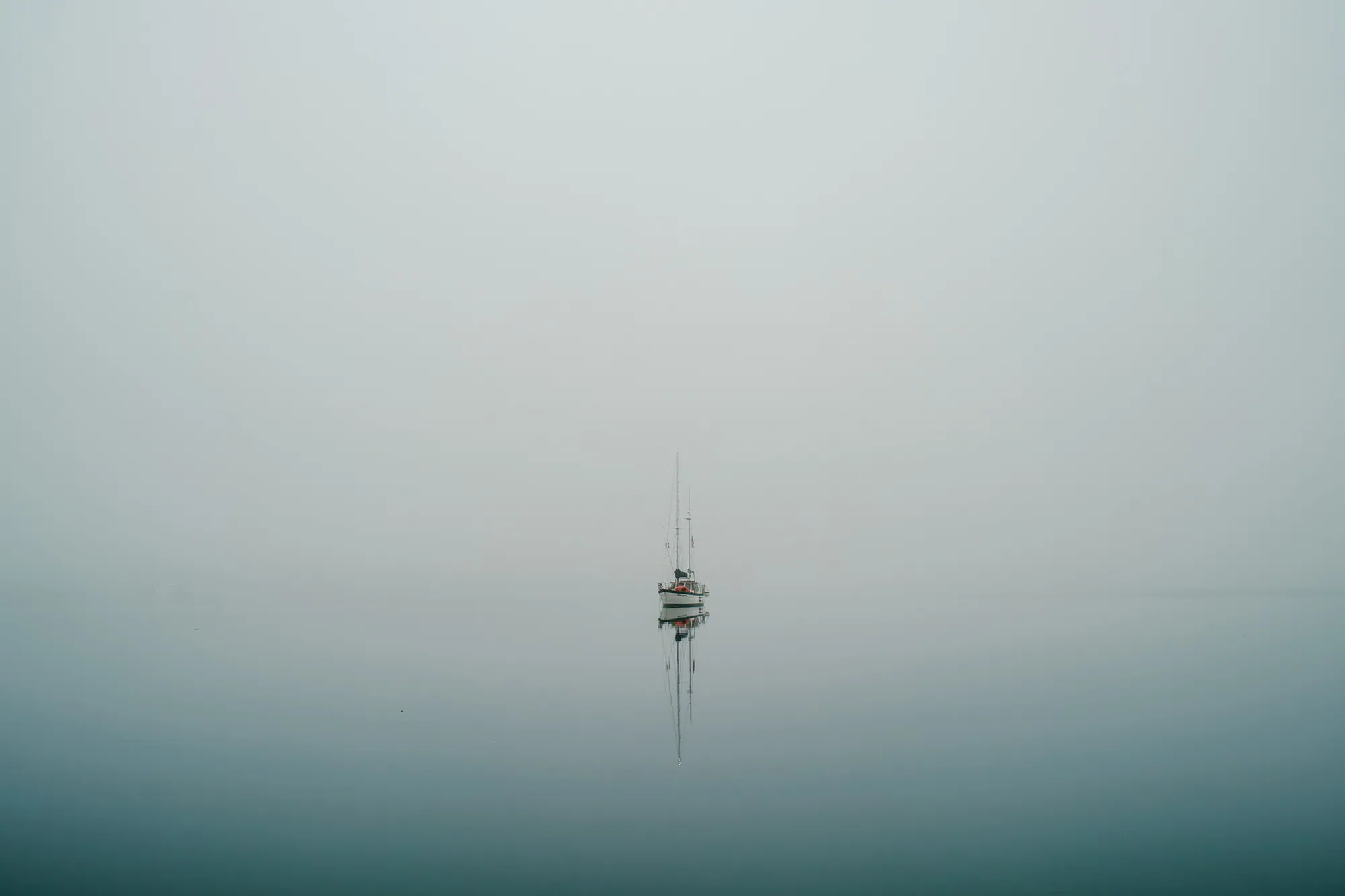 personal work photography image 40 by Rick Dang