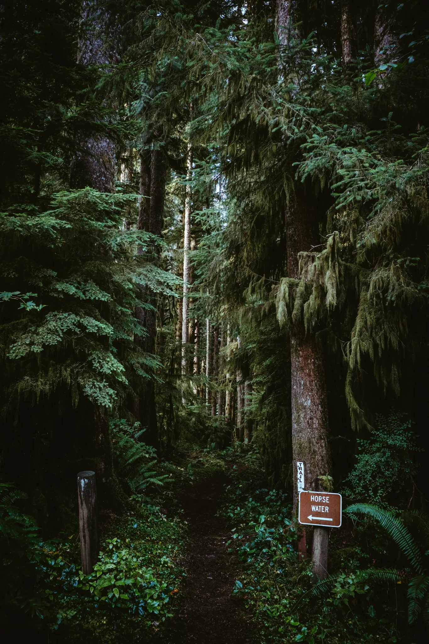 personal work photography image 43 by Rick Dang