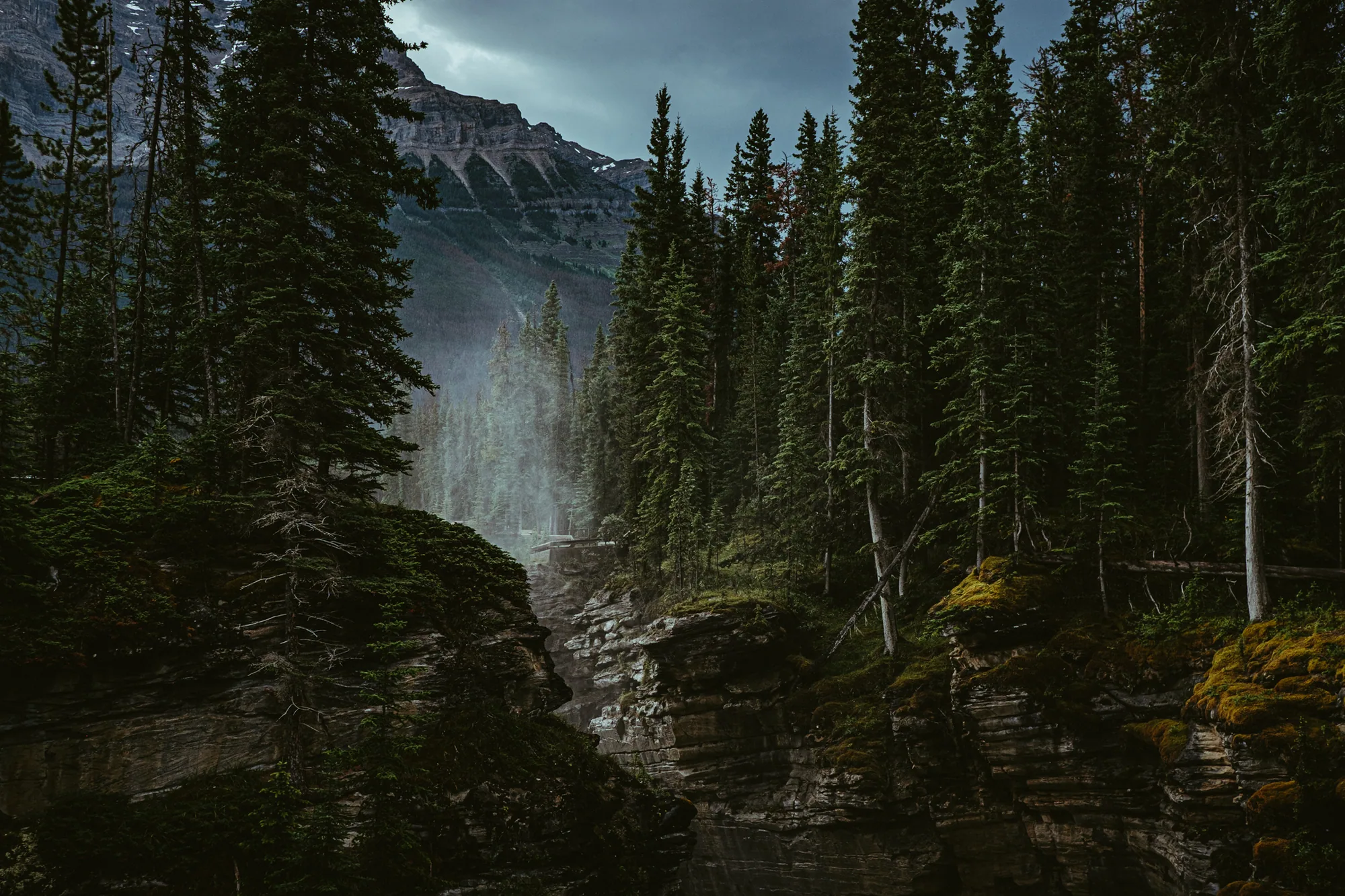 personal work photography image 44 by Rick Dang