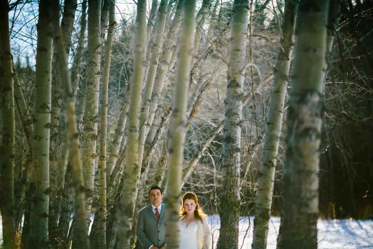 Bride and groom looking through vertical aspen trunks in a snowy winter forest