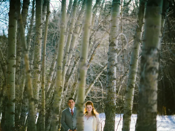 Bride and groom looking through vertical aspen trunks in a snowy winter forest