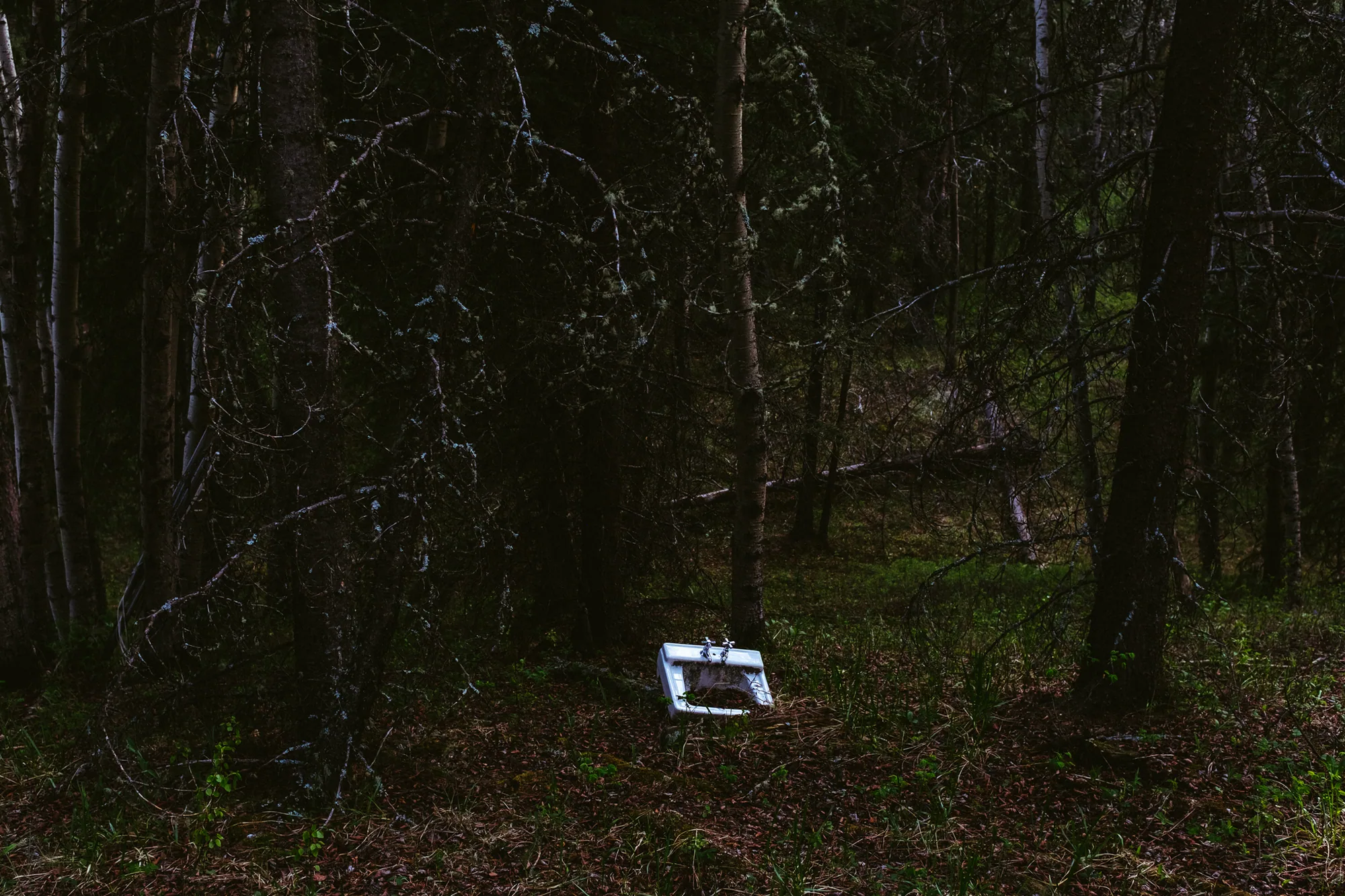 personal work photography image 47 by Rick Dang