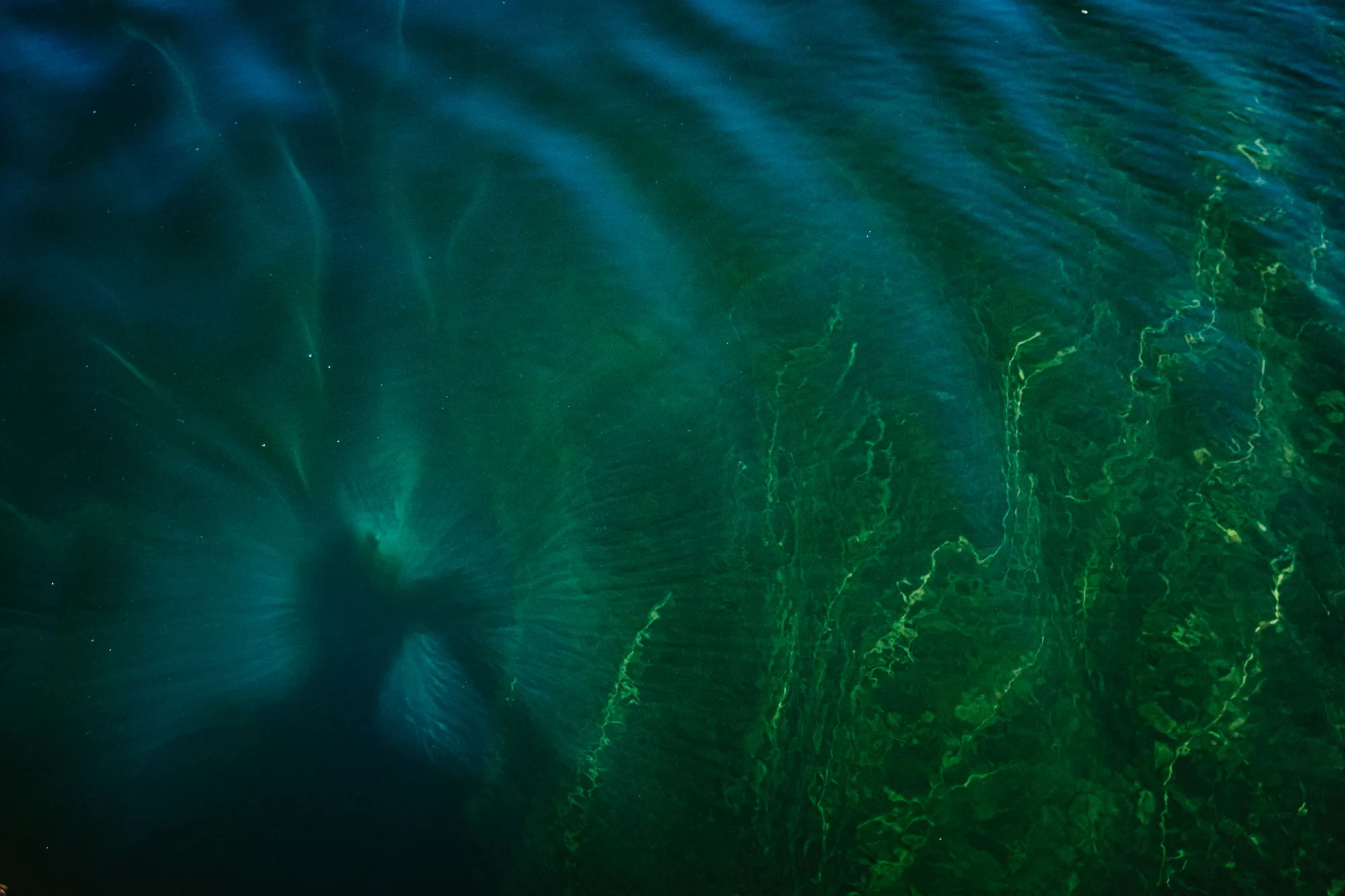 personal work photography image 49 by Rick Dang