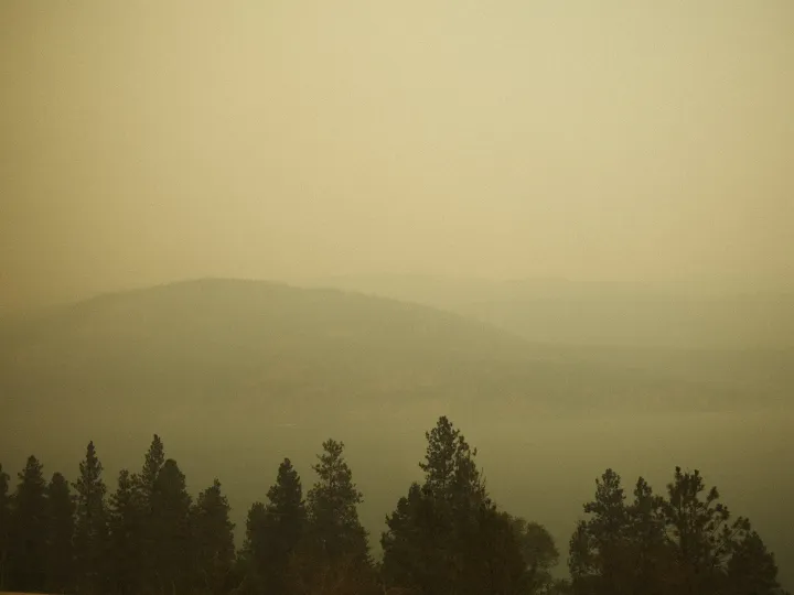 Hazy yellow light over a dark tree line and distant Alberta hills