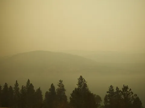 Hazy yellow light over a dark tree line and distant Alberta hills