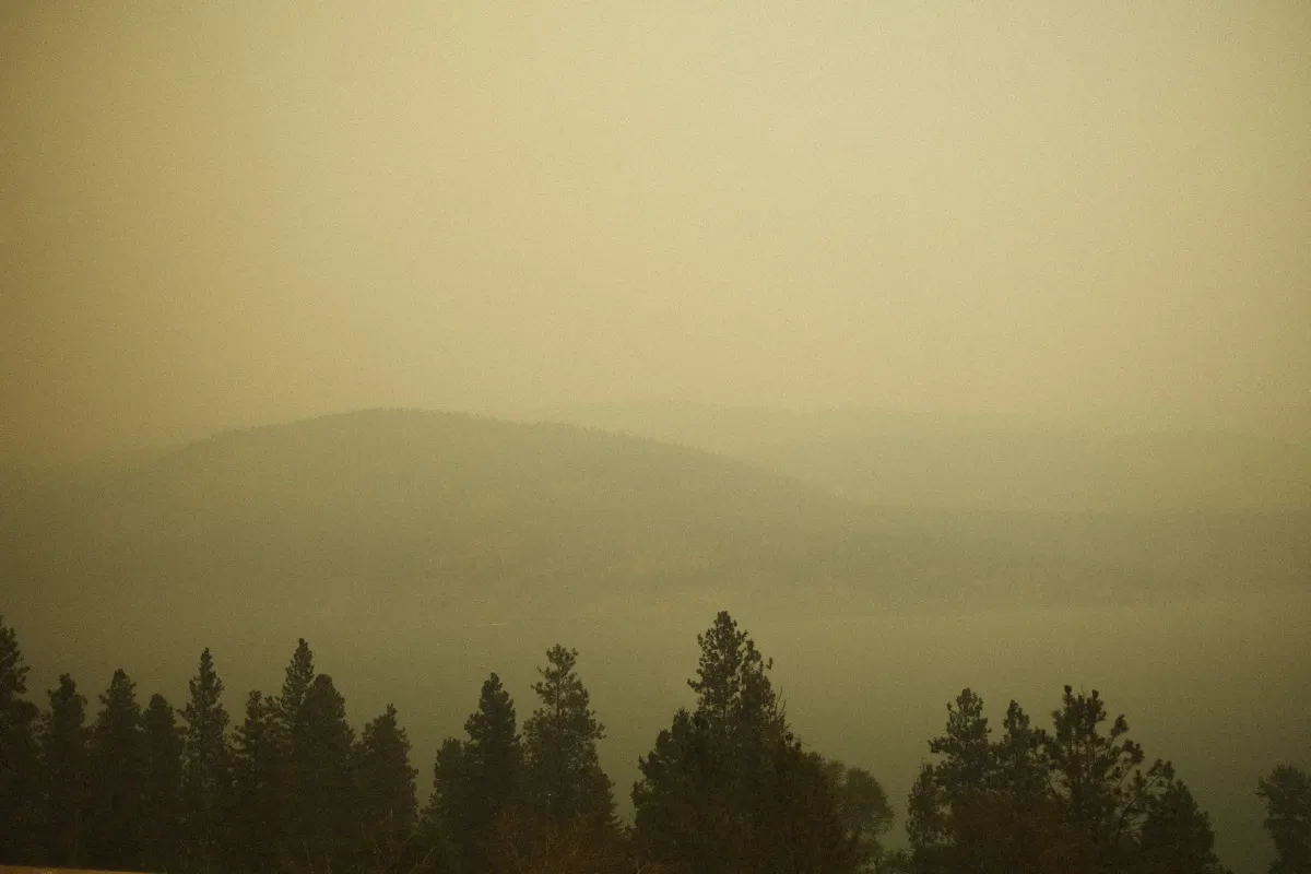 Hazy yellow light over a dark tree line and distant Alberta hills