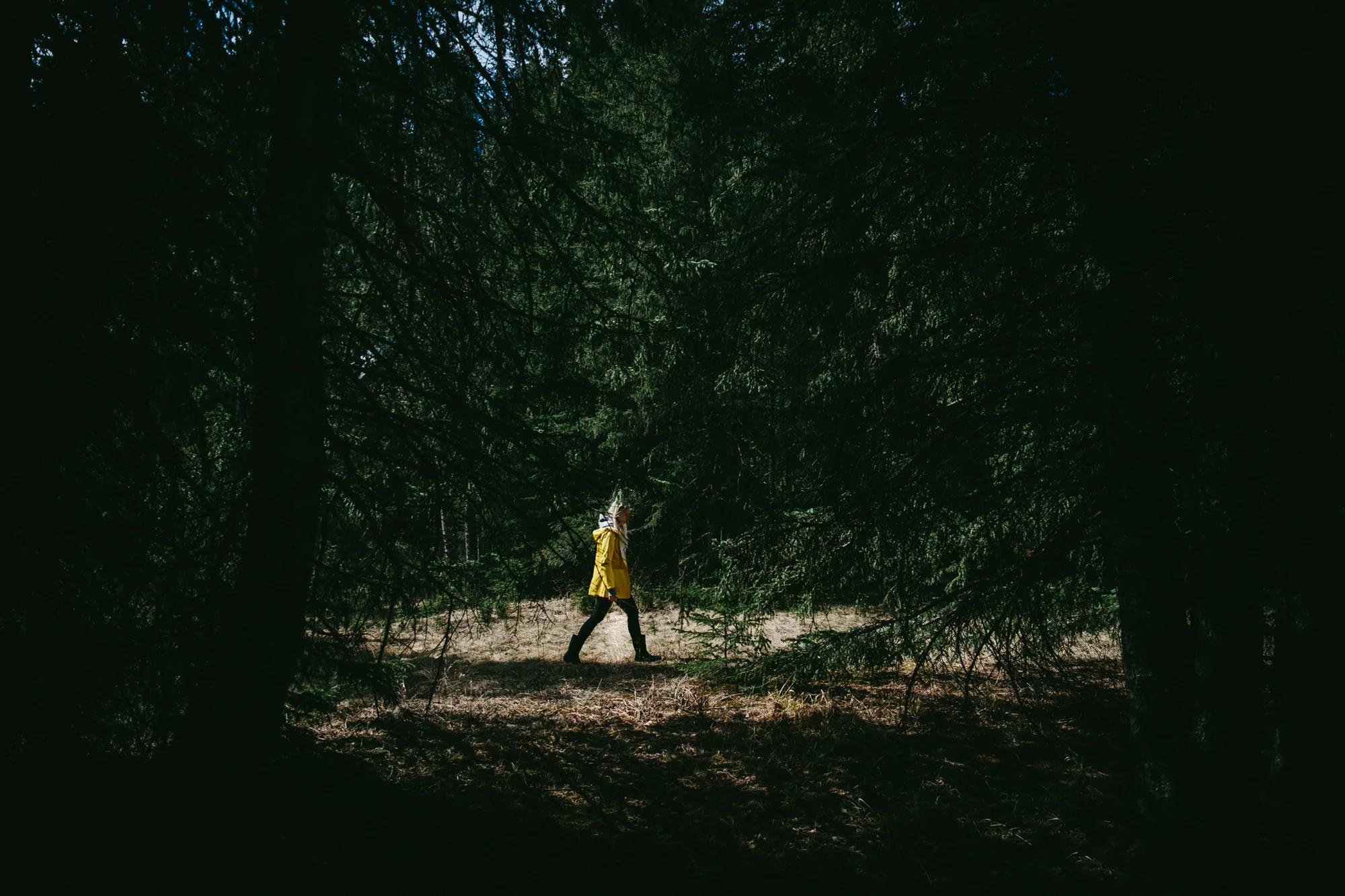 personal work photography image 50 by Rick Dang