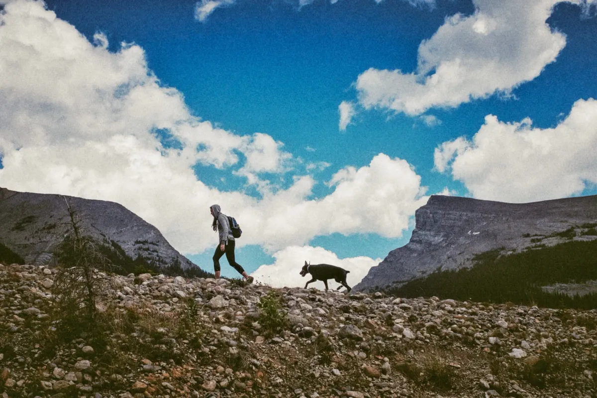 Hiker and dog silhouetted on a rocky ridge beneath bright mountain clouds