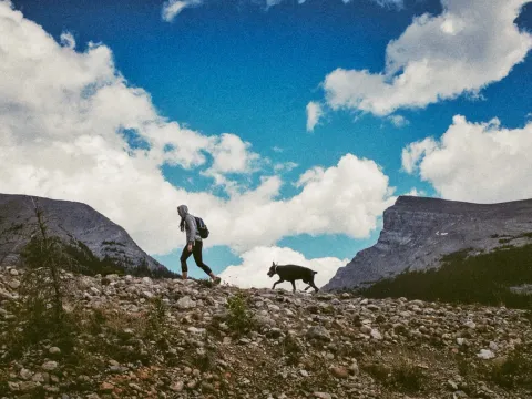 Hiker and dog silhouetted on a rocky ridge beneath bright mountain clouds