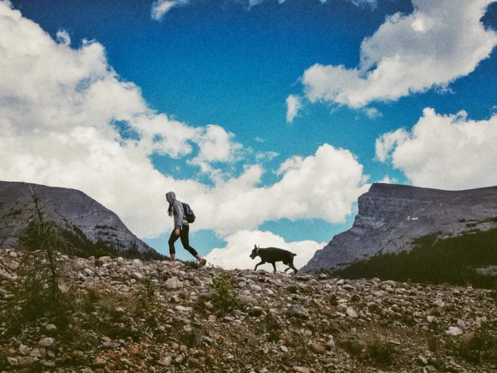 Hiker and dog silhouetted on a rocky ridge beneath bright mountain clouds