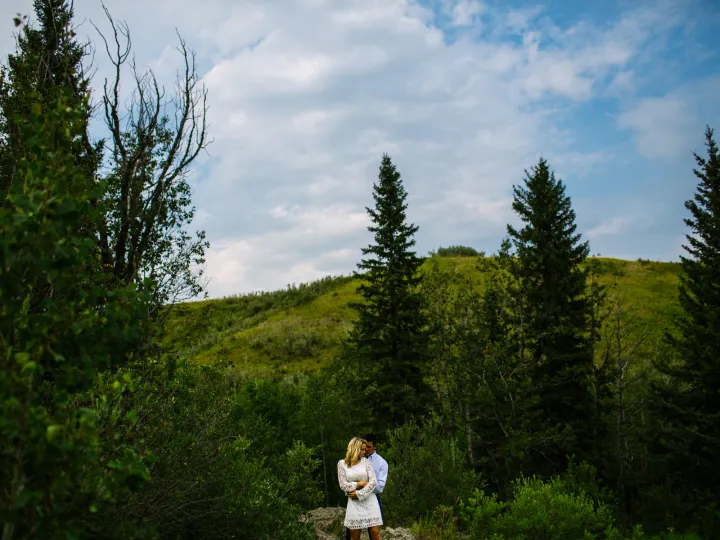 Couple standing small on a green hillside beneath blue sky and evergreens