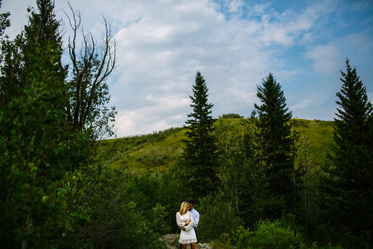 Couple standing small on a green hillside beneath blue sky and evergreens