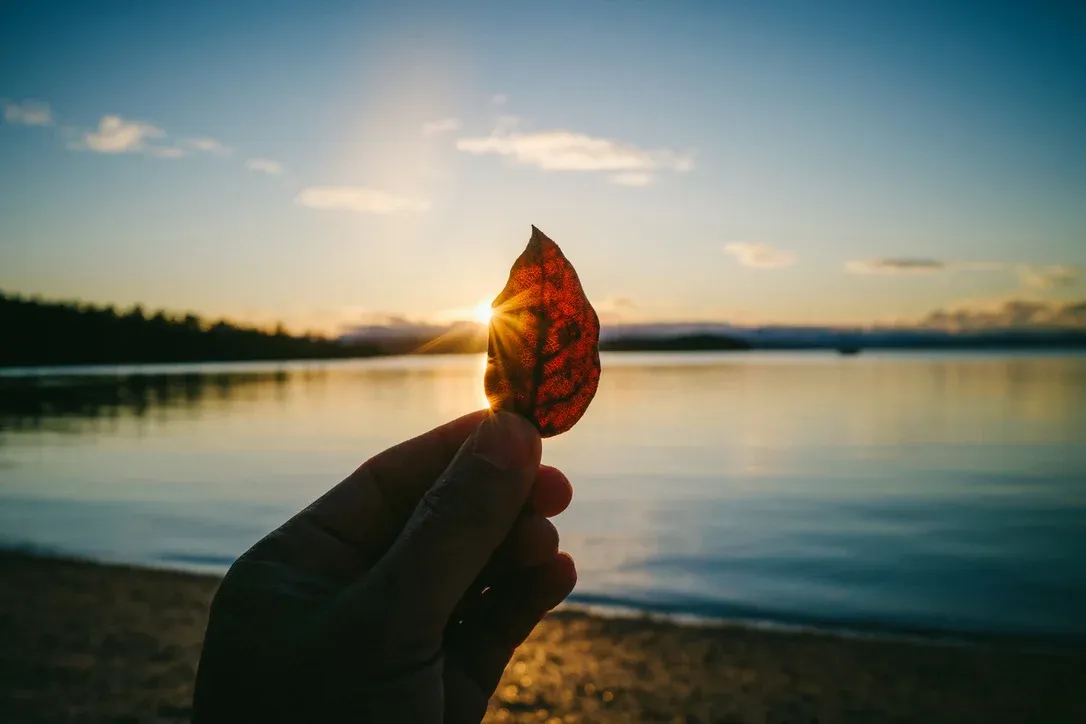 Hand holding a red leaf in front of a calm lake at sunset
