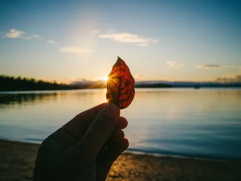 Hand holding a red leaf in front of a calm lake at sunset