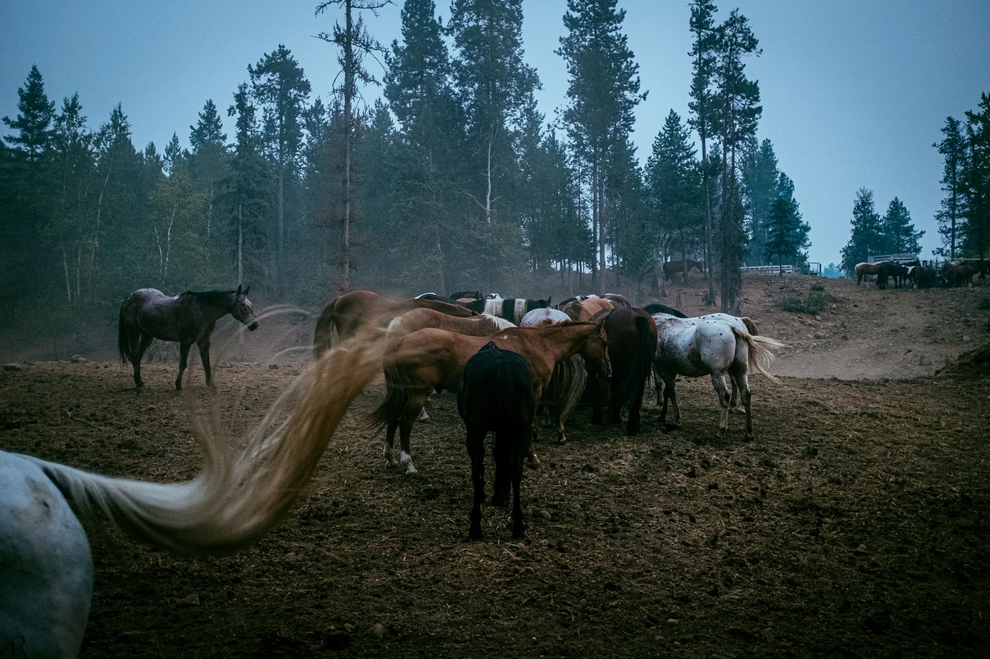personal work photography image 52 by Rick Dang