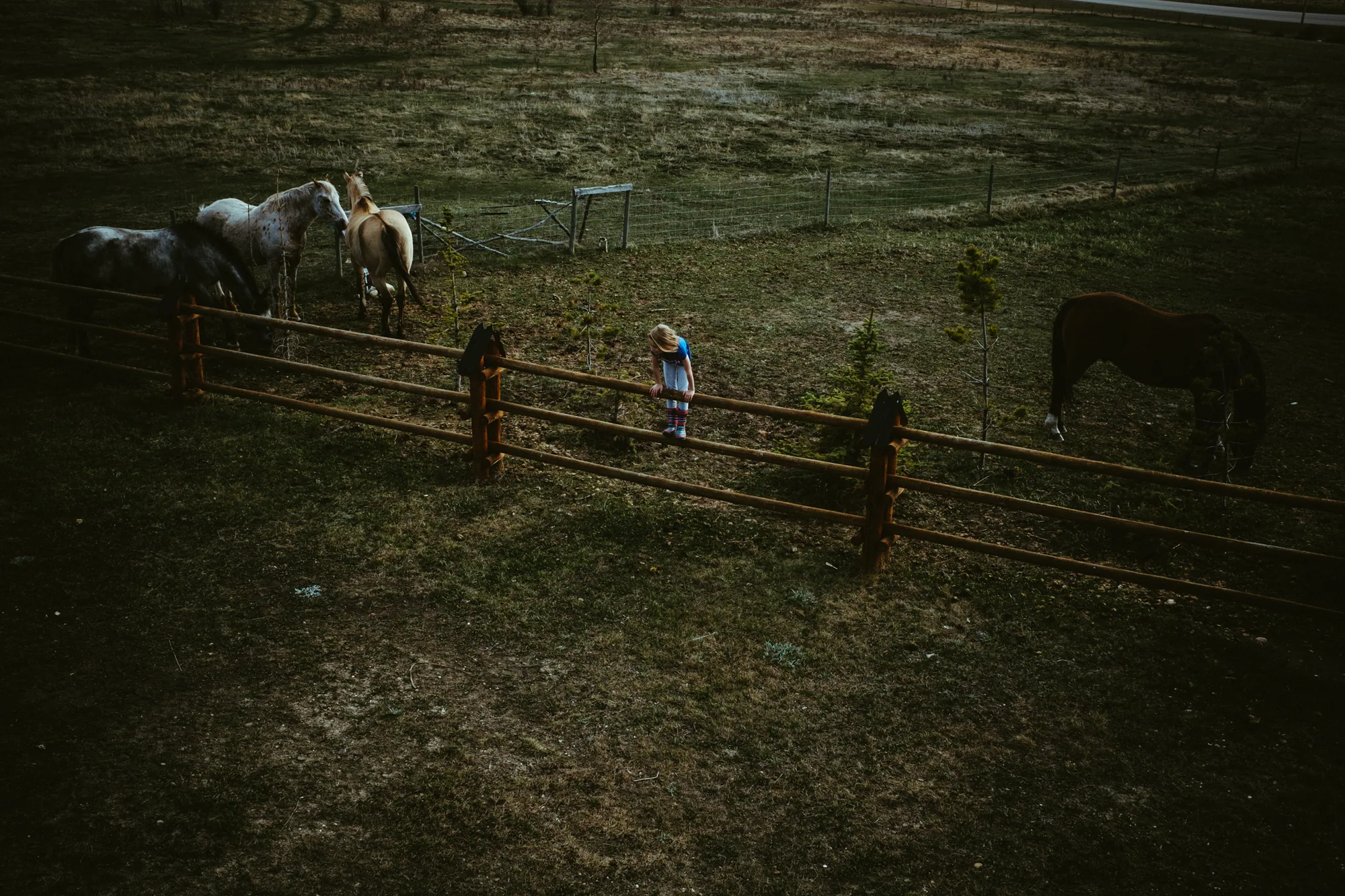 personal work photography image 53 by Rick Dang