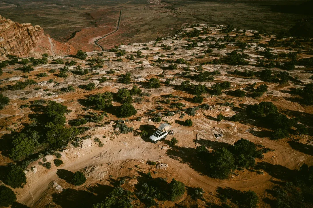 Aerial view of dry earth with winding tracks and low vegetation