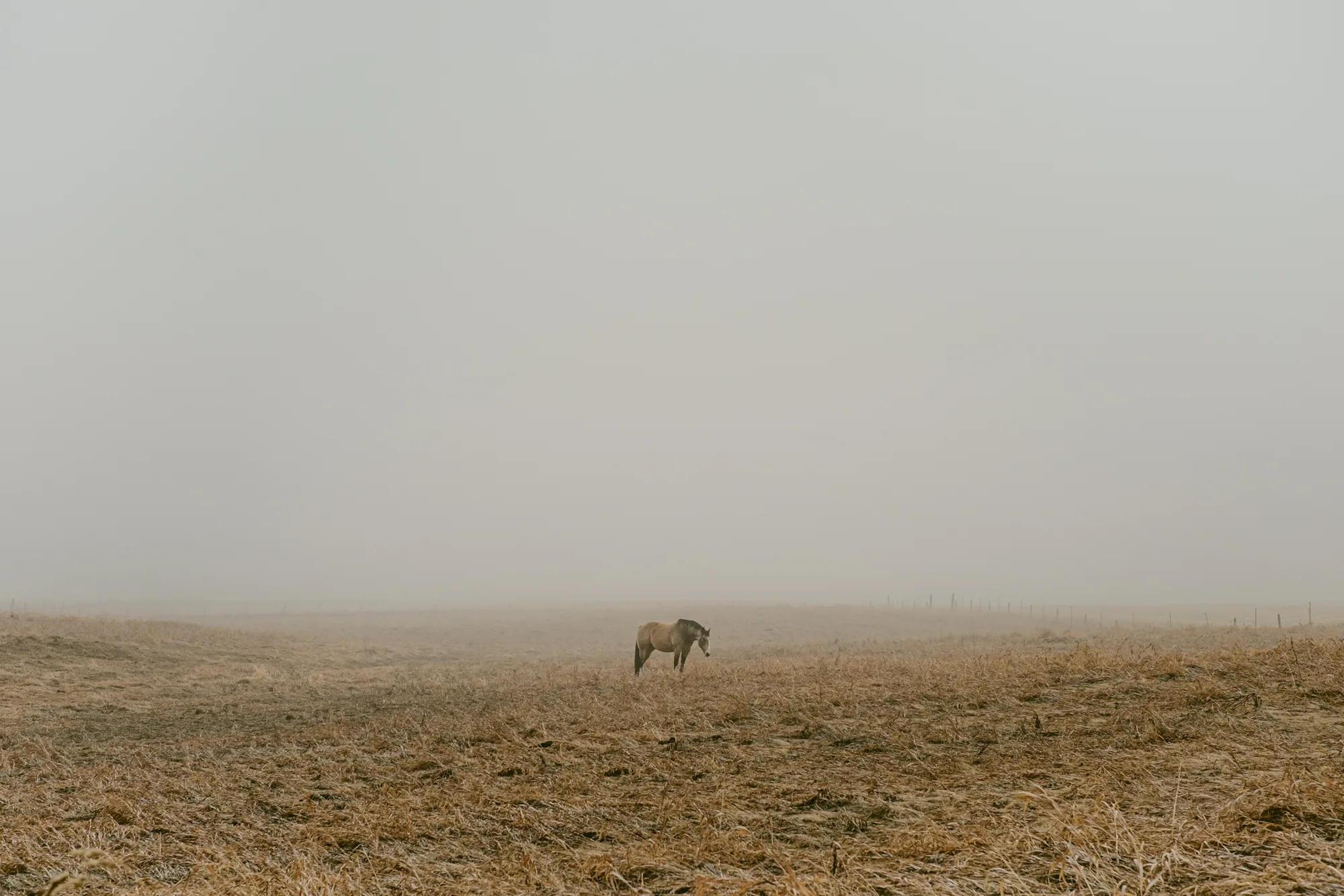 personal work photography image 55 by Rick Dang