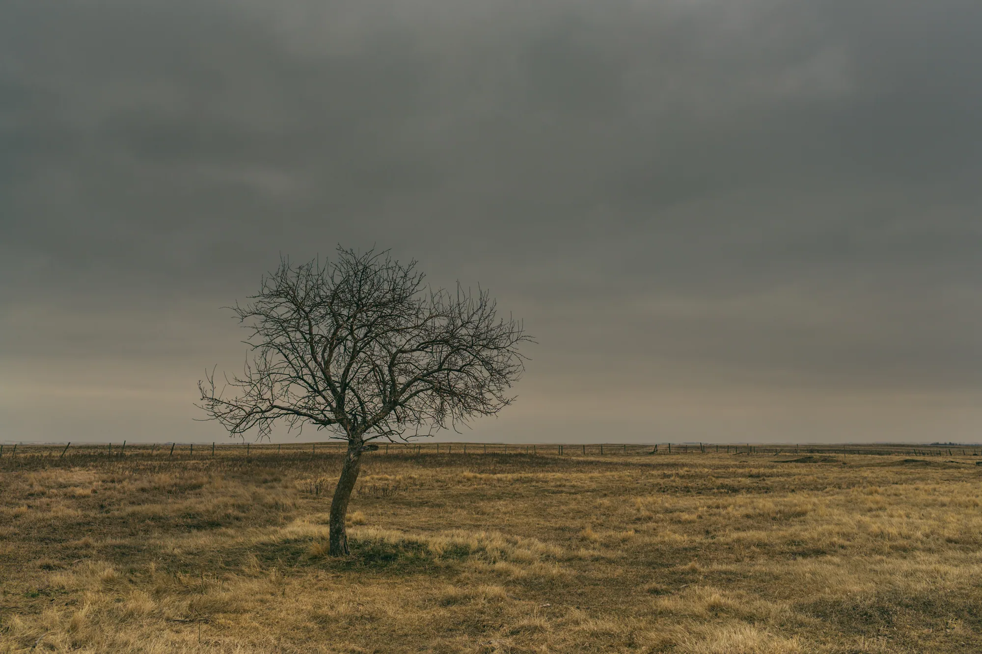 personal work photography image 56 by Rick Dang