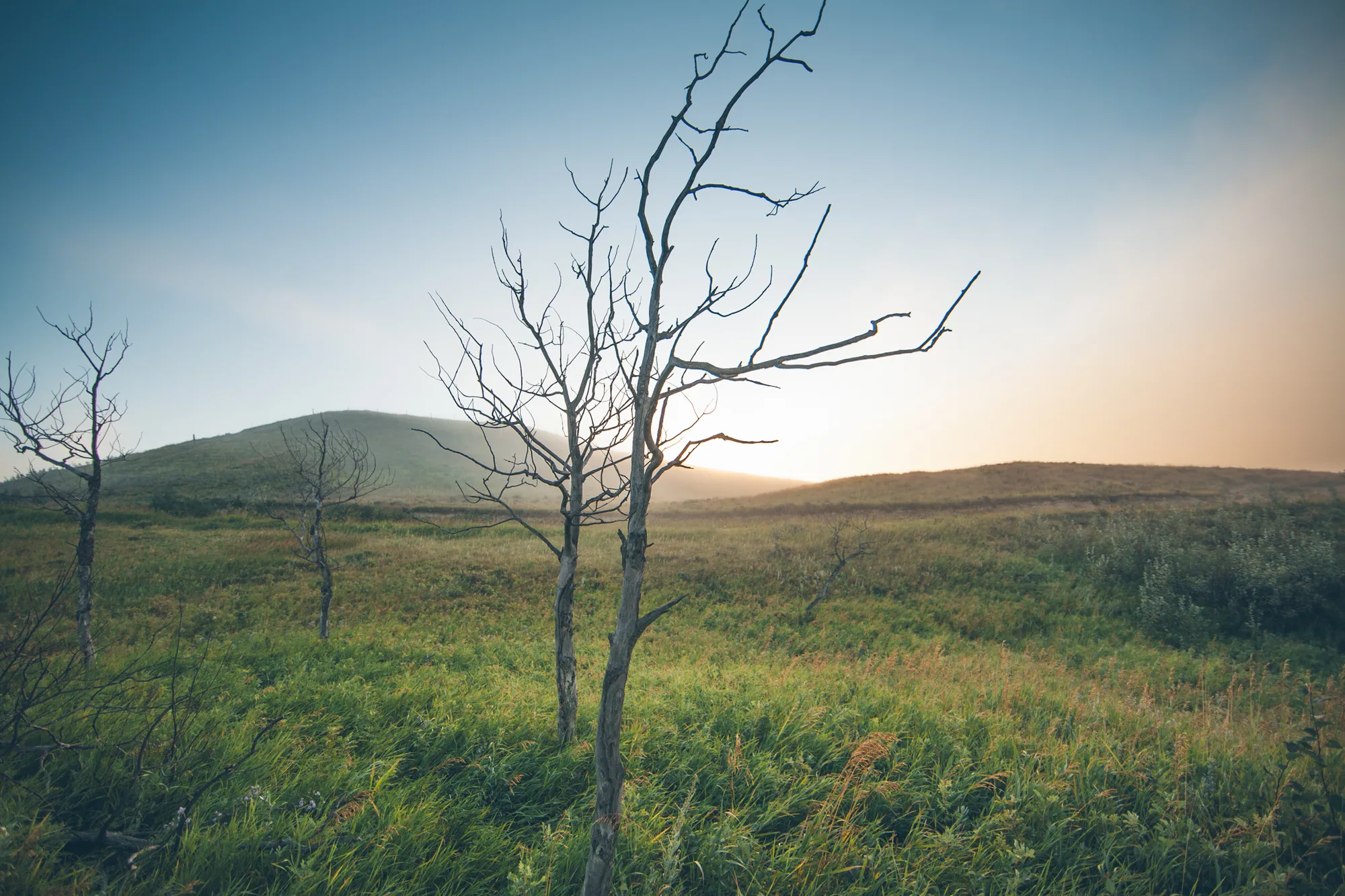 personal work photography image 57 by Rick Dang