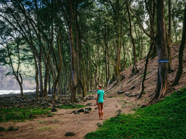 Woman standing among trees on a beach on the Big Island