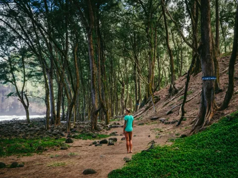 Woman standing among trees on a beach on the Big Island