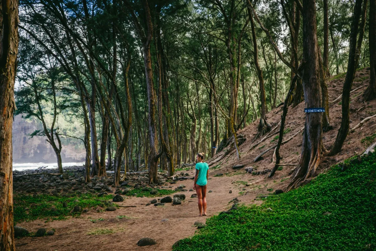 Woman standing among trees on a beach on the Big Island