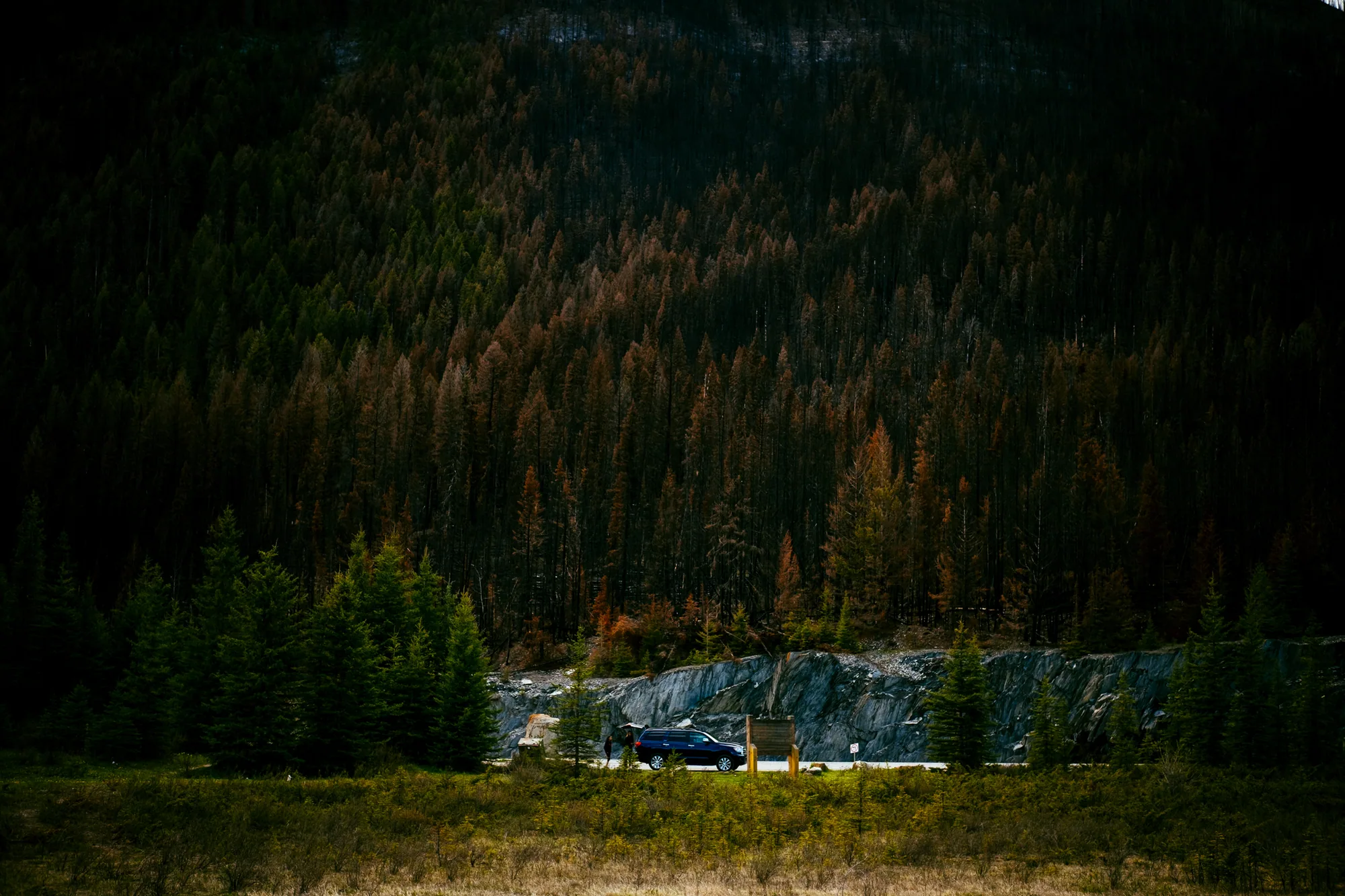 personal work photography image 61 by Rick Dang