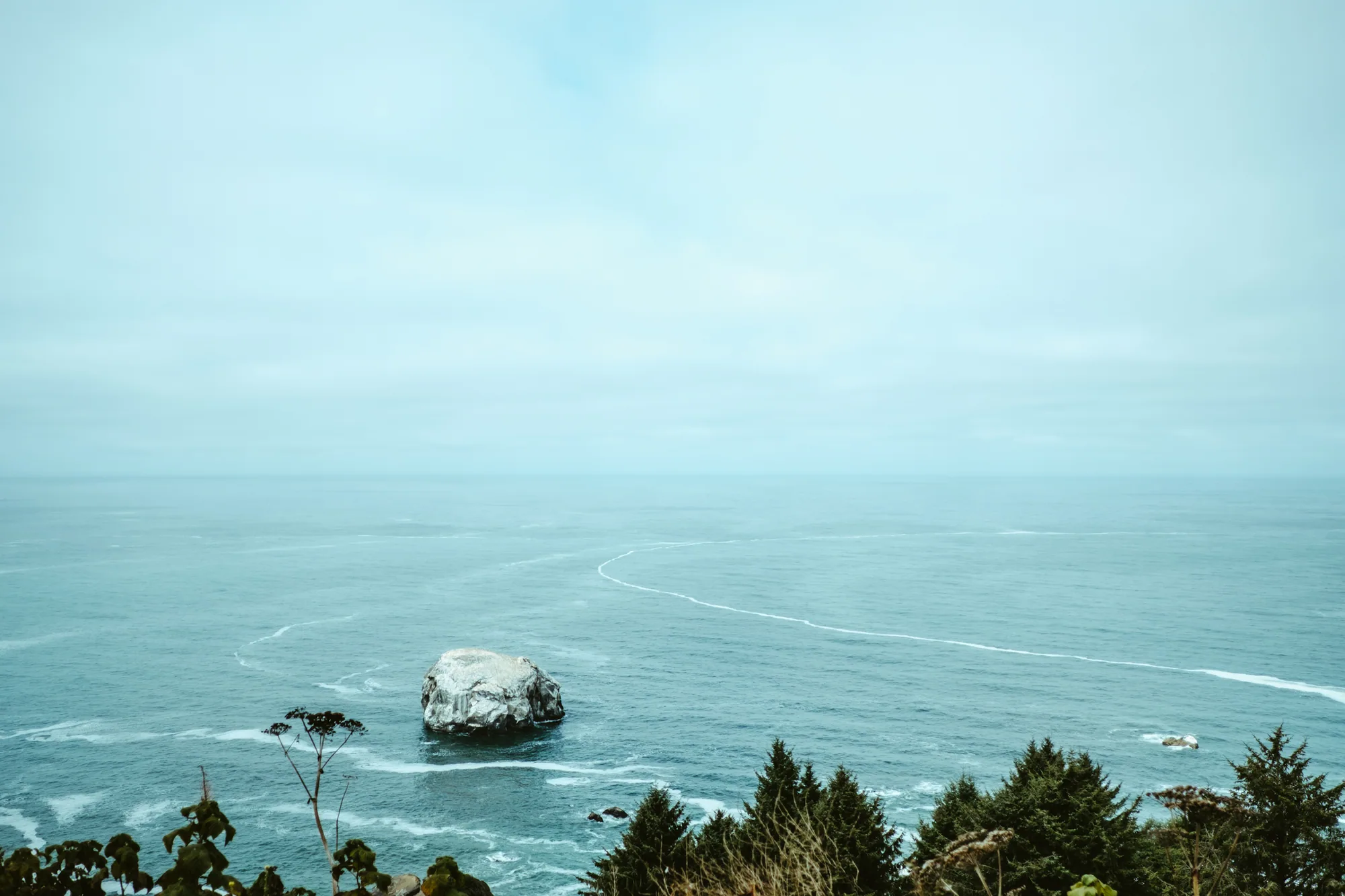 personal work photography image 66 by Rick Dang