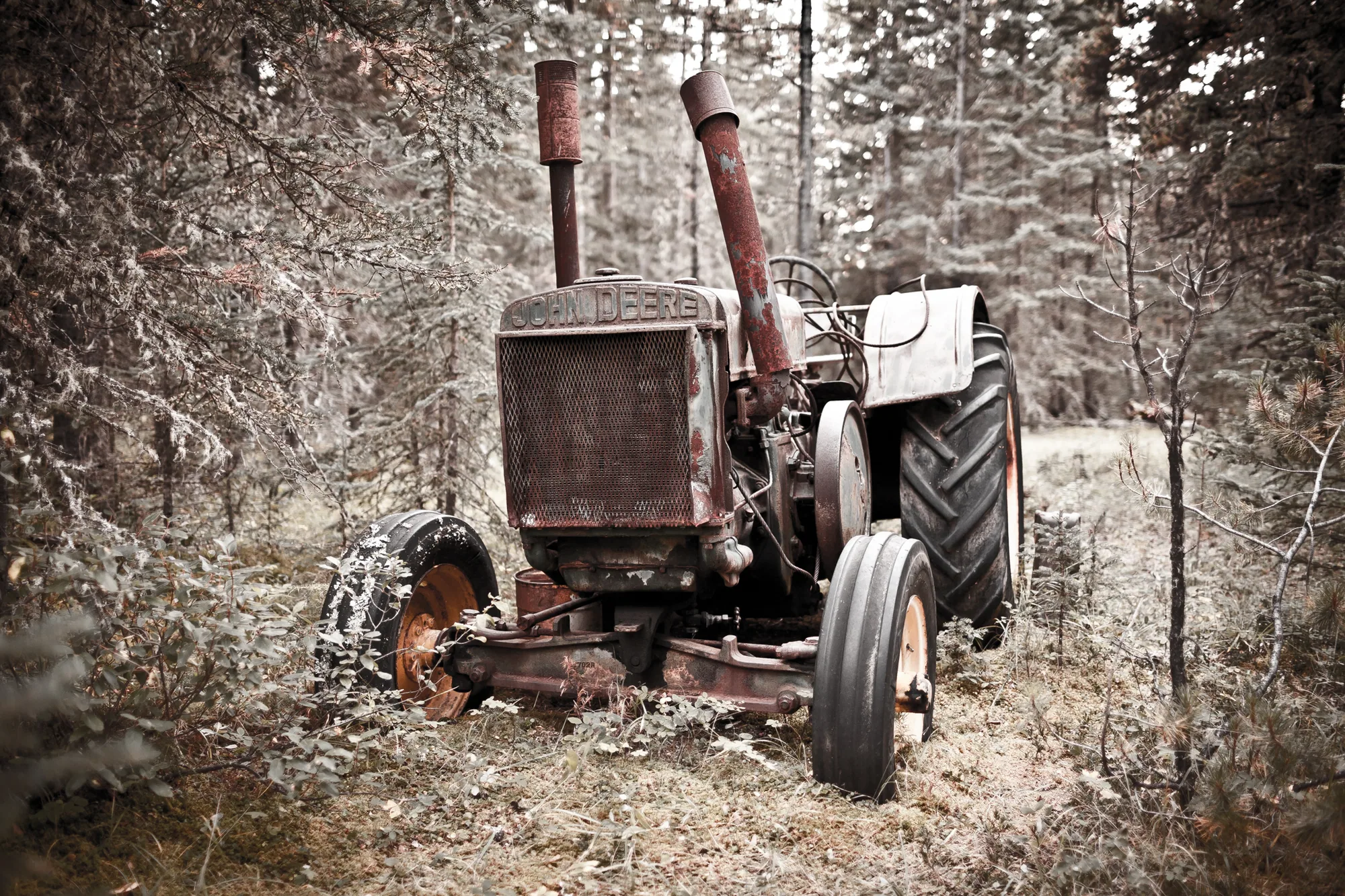 personal work photography image 67 by Rick Dang