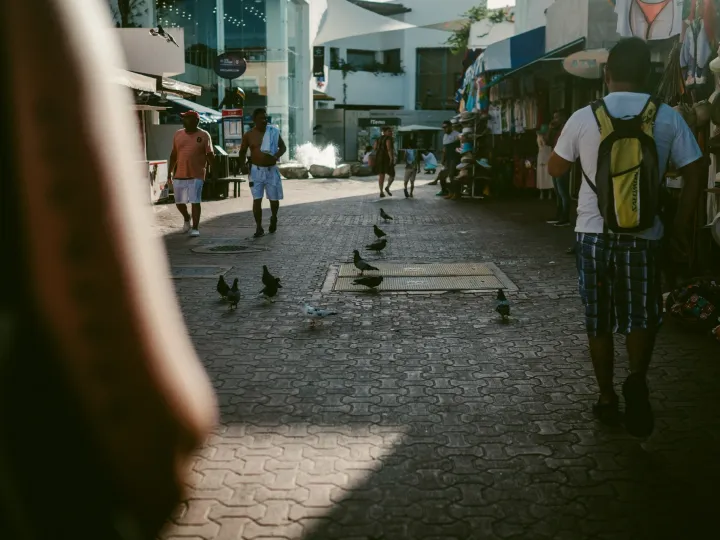 Pigeons and pedestrians moving through a bright narrow city lane
