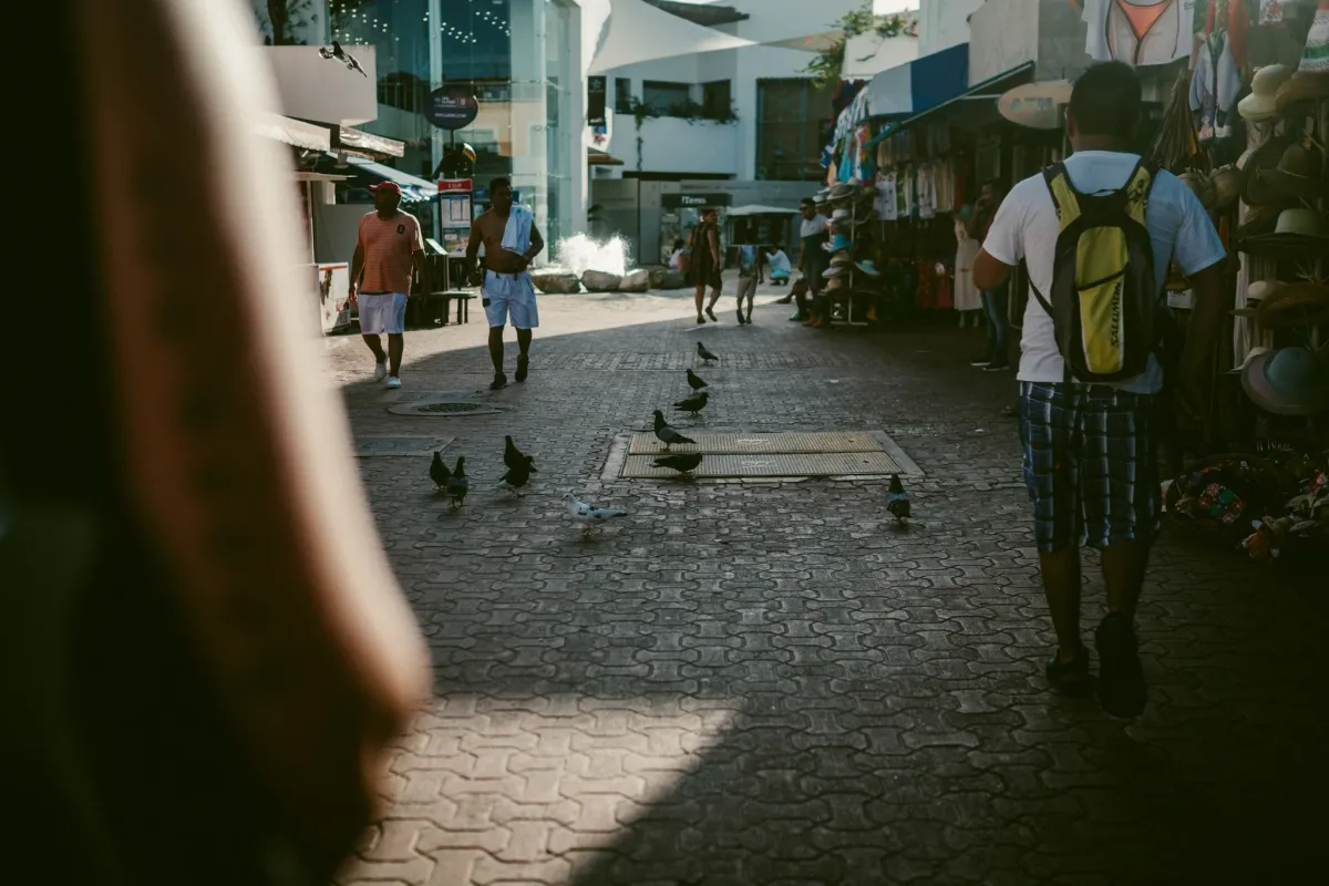 Pigeons and pedestrians moving through a bright narrow city lane