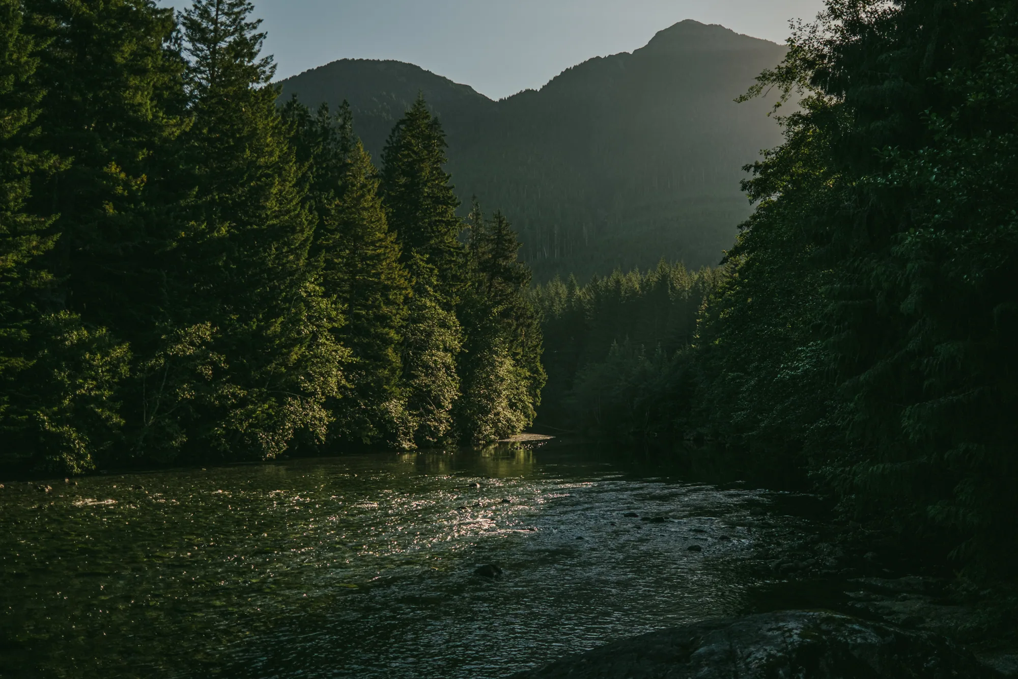 personal work photography image 81 by Rick Dang